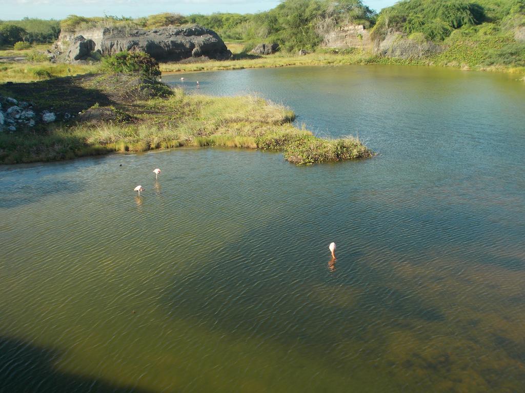 Paraiso De Isabela 푸에르토빌라밀 외부 사진